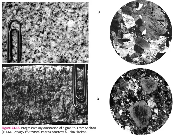 a b Figure 23.15. Progressive mylonitization of a granite. From