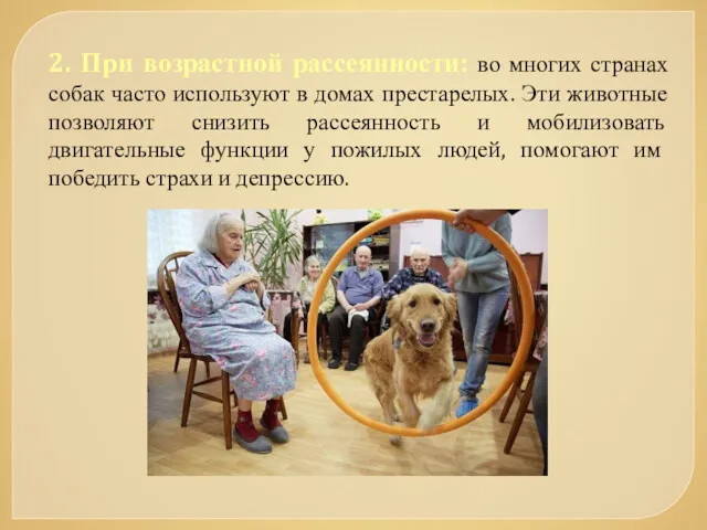 2. При возрастной рассеянности: во многих странах собак часто используют в домах престарелых.