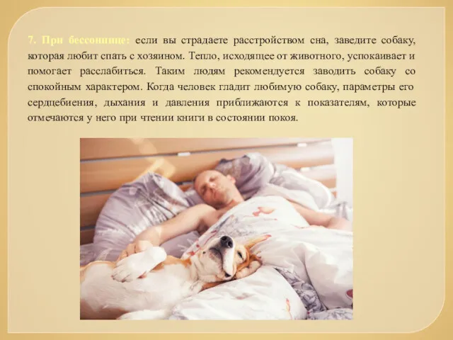 7. При бессоннице: если вы страдаете расстройством сна, заведите собаку, которая любит спать