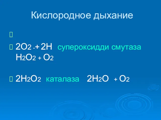 Кислородное дыхание 2О2 -+ 2Н супероксидди смутаза Н2О2 + О2 2Н2О2 каталаза 2Н2О + О2