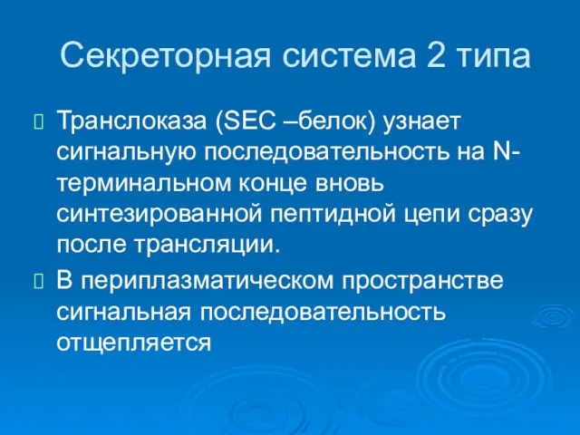 Секреторная система 2 типа Транслоказа (SEC –белок) узнает сигнальную последовательность