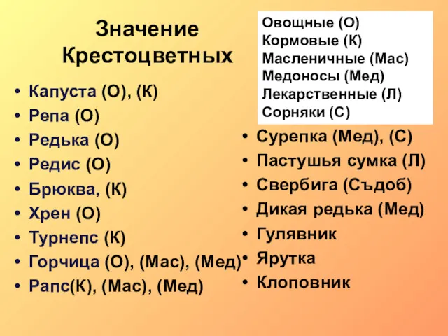 Значение Крестоцветных Капуста (О), (К) Репа (О) Редька (О) Редис