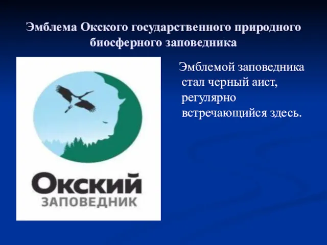 Эмблема Окского государственного природного биосферного заповедника Эмблемой заповедника стал черный аист, регулярно встречающийся здесь.