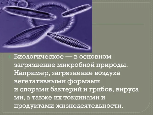 Биологическое — в основном загрязнение микробной природы. Например, загрязнение воздуха