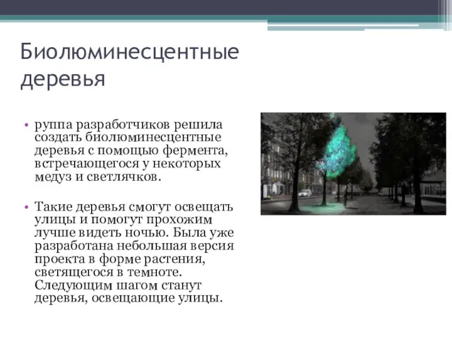 Биолюминесцентные деревья руппа разработчиков решила создать биолюминесцентные деревья с помощью