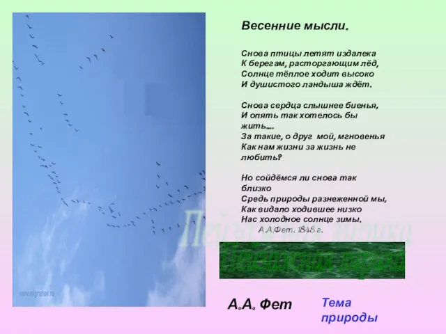 Весенние мысли. Снова птицы летят издалека К берегам, расторгающим лёд,