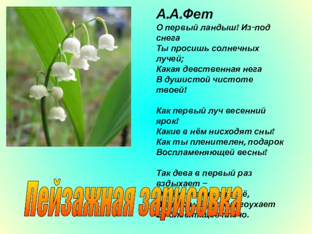 А.А.Фет О первый ландыш! Из-под снега Ты просишь солнечных лучей; Какая девственная нега