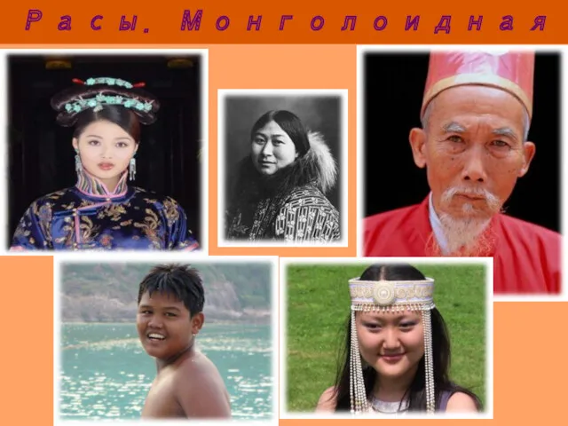 Расы. Монголоидная