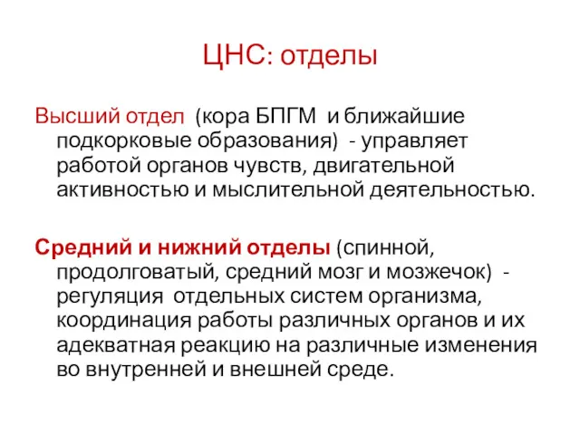 ЦНС: отделы Высший отдел (кора БПГМ и ближайшие подкорковые образования)