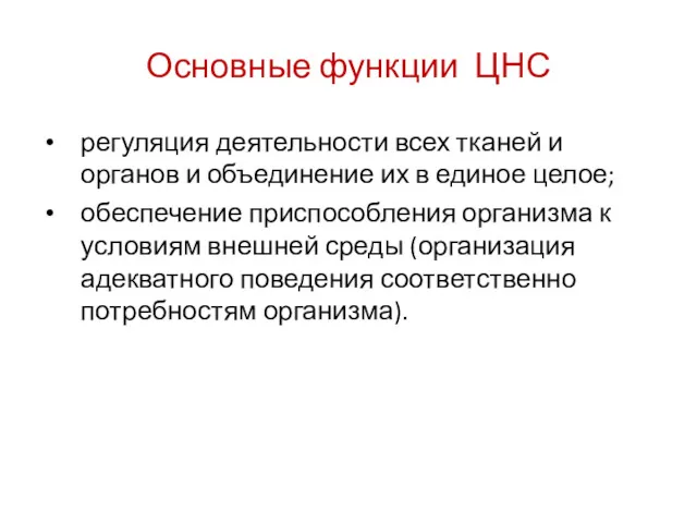 Основные функции ЦНС регуляция деятельности всех тканей и органов и