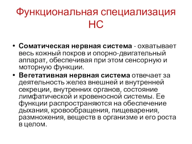 Функциональная специализация НС Соматическая нервная система - охватывает весь кожный