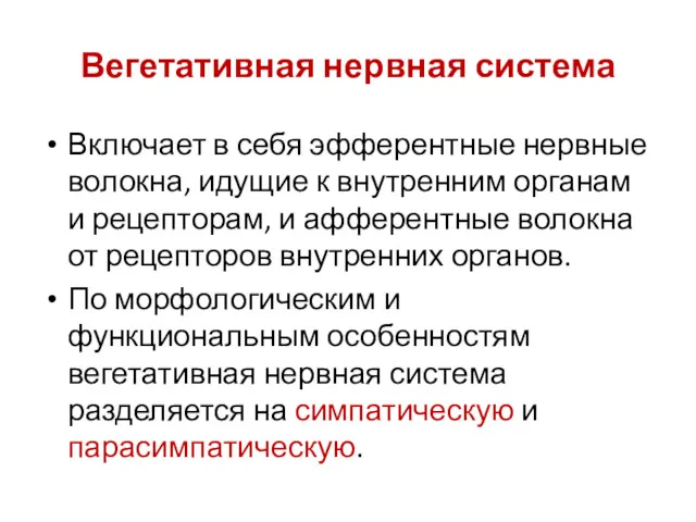 Вегетативная нервная система Включает в себя эфферентные нервные волокна, идущие