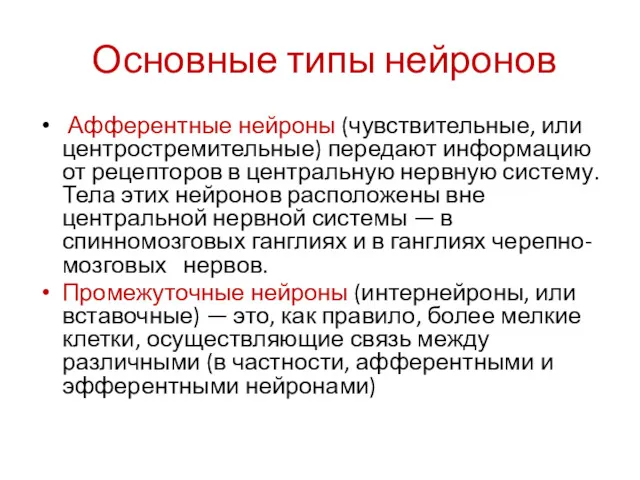 Основные типы нейронов Афферентные нейроны (чувствительные, или центростремительные) передают информацию