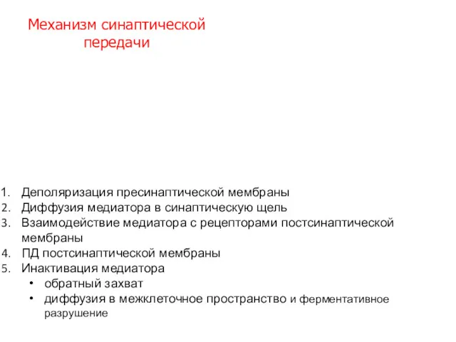 Деполяризация пресинаптической мембраны Диффузия медиатора в синаптическую щель Взаимодействие медиатора