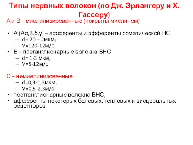 Типы нервных волокон (по Дж. Эрлангеру и Х. Гассеру) А