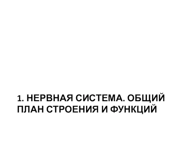 1. НЕРВНАЯ СИСТЕМА. ОБЩИЙ ПЛАН СТРОЕНИЯ И ФУНКЦИЙ