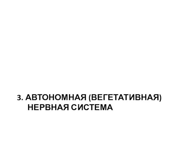 3. АВТОНОМНАЯ (ВЕГЕТАТИВНАЯ) НЕРВНАЯ СИСТЕМА