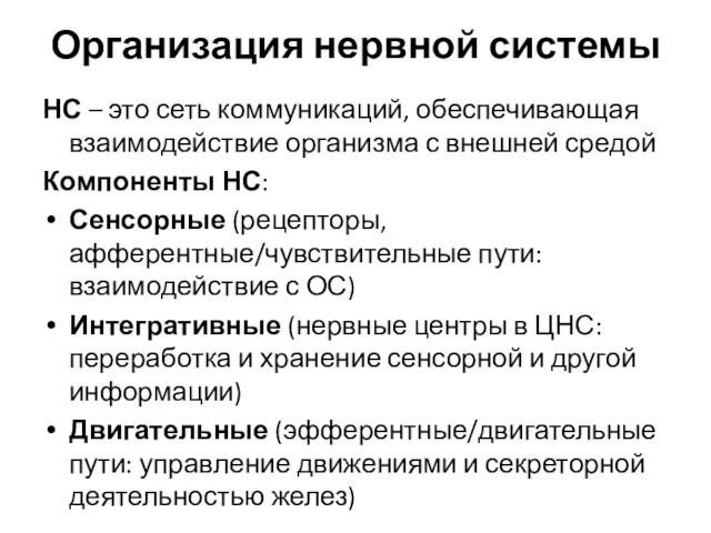 Организация нервной системы НС – это сеть коммуникаций, обеспечивающая взаимодействие