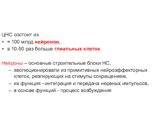 ЦНС состоит из ≈ 100 млрд нейронов, в 10-50 раз