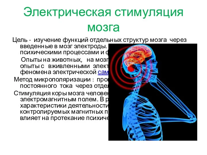 Электрическая стимуляция мозга Цель - изучение функций отдельных структур мозга