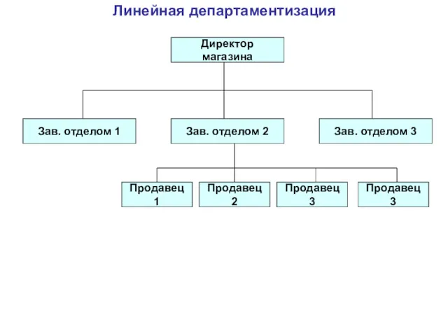 Линейная департаментизация Директор магазина Зав. отделом 1 Зав. отделом 2