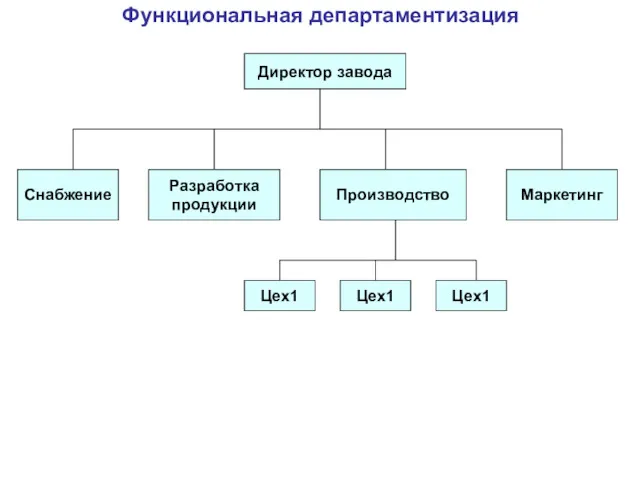 Функциональная департаментизация Директор завода Снабжение Разработка продукции Маркетинг Производство Цех1 Цех1 Цех1