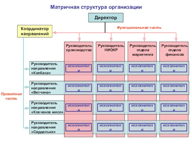 Матричная структура организации Руководитель направления «Колбаса» Руководитель направления «Сардельки» Руководитель