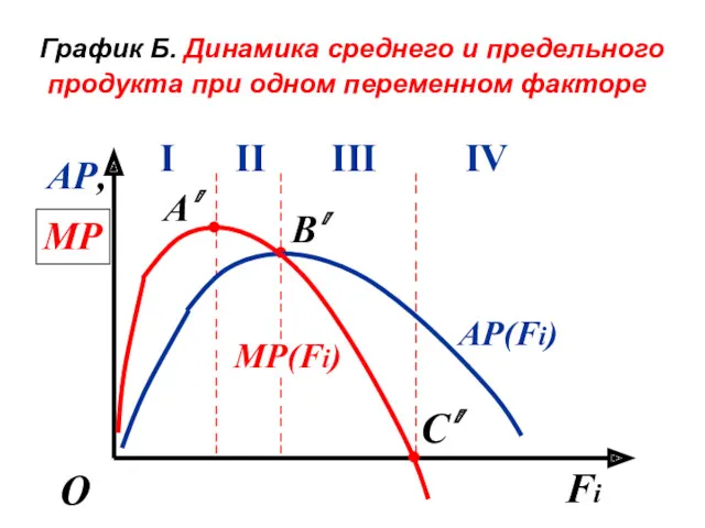 График Б. Динамика среднего и предельного продукта при одном переменном