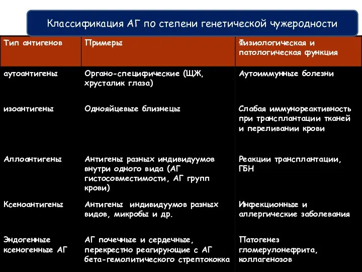 Классификация антигенов по генетической чужеродности Классификация АГ по степени генетической чужеродности