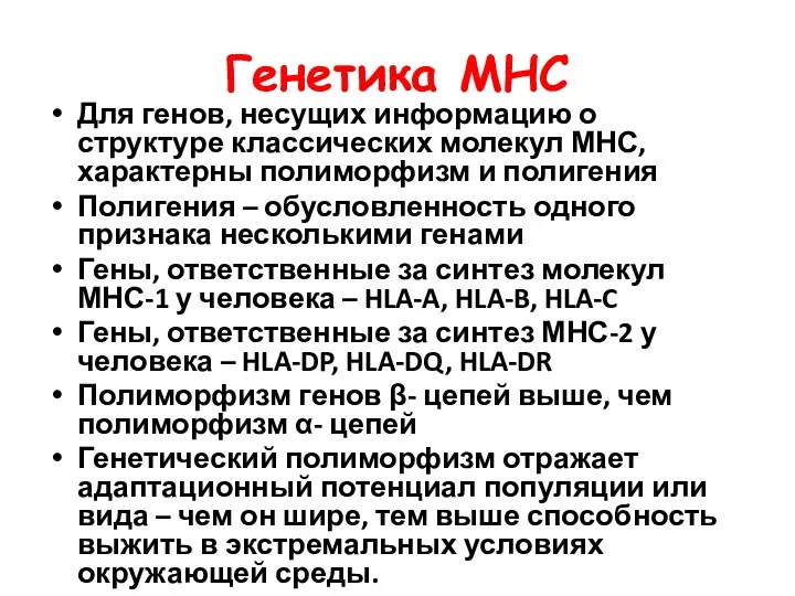 Генетика МНС Для генов, несущих информацию о структуре классических молекул