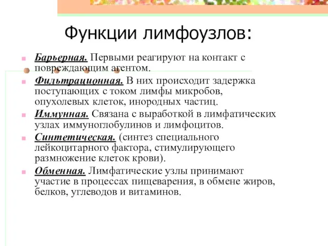 Функции лимфоузлов: Барьерная. Первыми реагируют на контакт с повреждающим агентом.