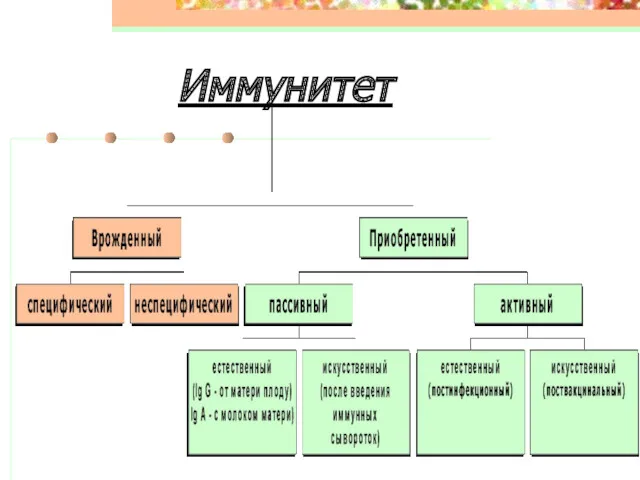 Иммунитет