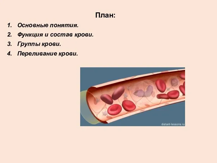 План: Основные понятия. Функция и состав крови. Группы крови. Переливание крови.