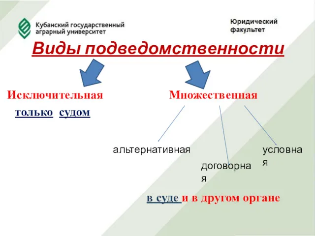 Виды подведомственности Исключительная только судом Множественная в суде и в другом органе альтернативная договорная условная