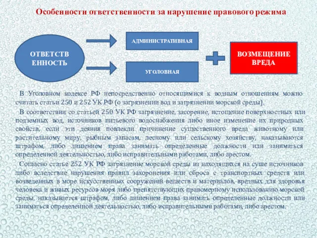 Особенности ответственности за нарушение правового режима В Уголовном кодексе РФ