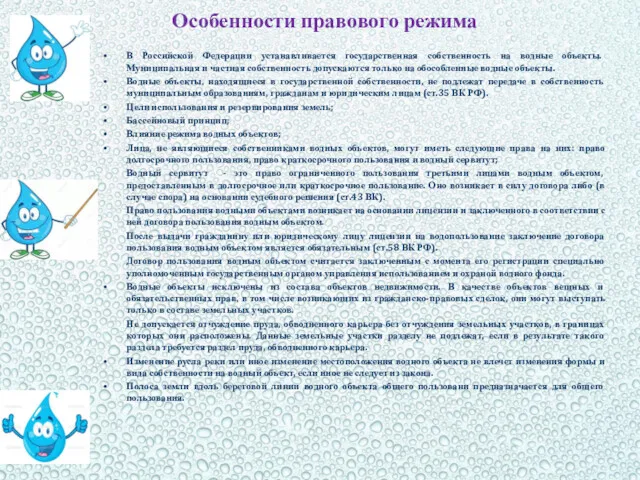 Особенности правового режима В Российской Федерации устанавливается государственная собственность на