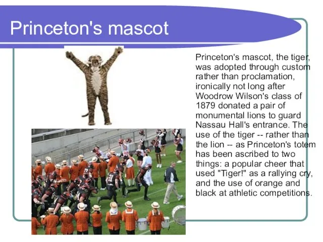Princeton's mascot Princeton's mascot, the tiger, was adopted through custom