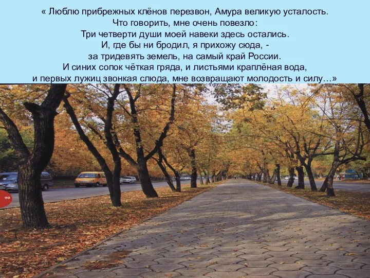 « Люблю прибрежных клёнов перезвон, Амура великую усталость. Что говорить,