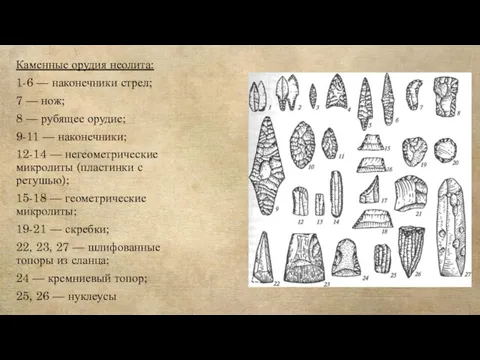 Каменные орудия неолита: 1-6 — наконечники стрел; 7 — нож;