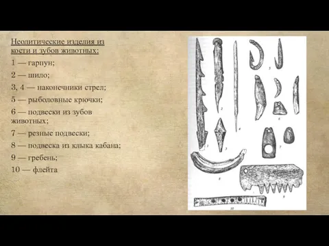 Неолитические изделия из кости и зубов животных: 1 — гарпун;