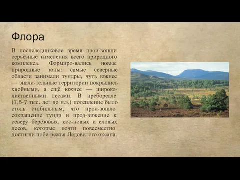 Флора В послеледниковое время прои-зошли серьёзные изменения всего природного комплекса.