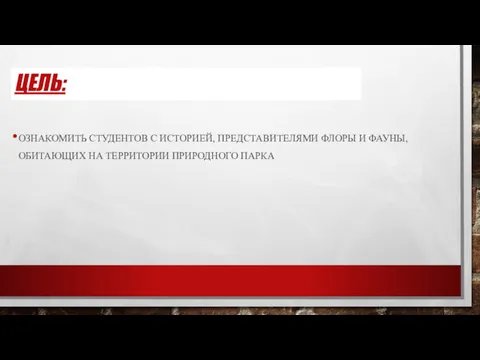 ЦЕЛЬ: ОЗНАКОМИТЬ СТУДЕНТОВ С ИСТОРИЕЙ, ПРЕДСТАВИТЕЛЯМИ ФЛОРЫ И ФАУНЫ, ОБИТАЮЩИХ НА ТЕРРИТОРИИ ПРИРОДНОГО ПАРКА