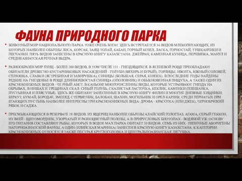 ФАУНА ПРИРОДНОГО ПАРКА ЖИВОТНЫЙ МИР НАЦИОНАЛЬНОГО ПАРКА ТОЖЕ ОЧЕНЬ БОГАТ.