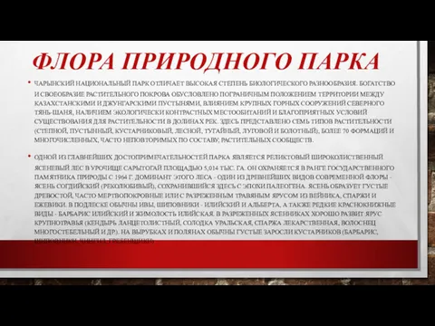 ФЛОРА ПРИРОДНОГО ПАРКА ЧАРЫНСКИЙ НАЦИОНАЛЬНЫЙ ПАРК ОТЛИЧАЕТ ВЫСОКАЯ СТЕПЕНЬ БИОЛОГИЧЕСКОГО