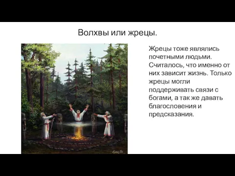 Волхвы или жрецы. Жрецы тоже являлись почетными людьми. Считалось, что