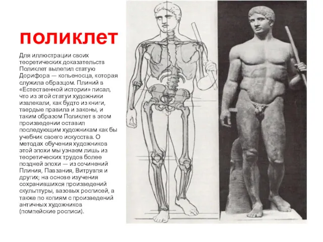 поликлет Для иллюстрации своих теоретических доказательств Поликлет вылепил статую Дорифора