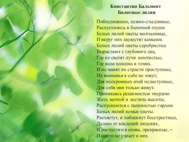 Константин Бальмонт Болотные лилии Побледневшие, нежно-стыдливые, Распустились в болотной глуши