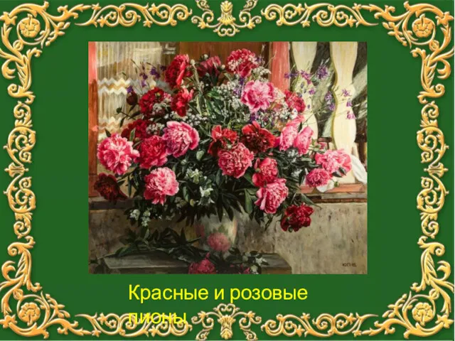 Красные и розовые пионы