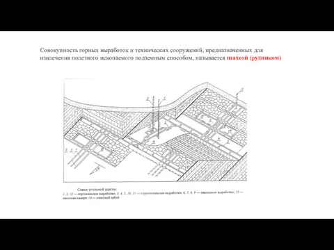 Совокупность горных выработок и технических сооружений, предназначенных для извлечения полезного ископаемого подземным способом, называется шахтой (рудником)