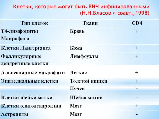 Клетки, которые могут быть ВИЧ инфицированными (Н.Н.Власов и соавт.,1998)